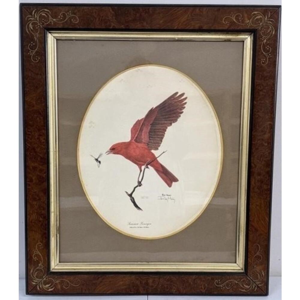 Signed Ray Harm “Summer Tanager” Lithograph – Vintage Framed Wildlife Art - 1963